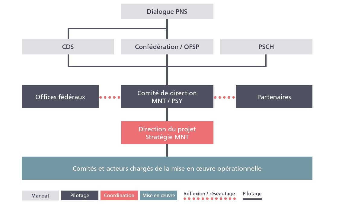 Stratégie nationale MNT: Organigramme 2021-2024